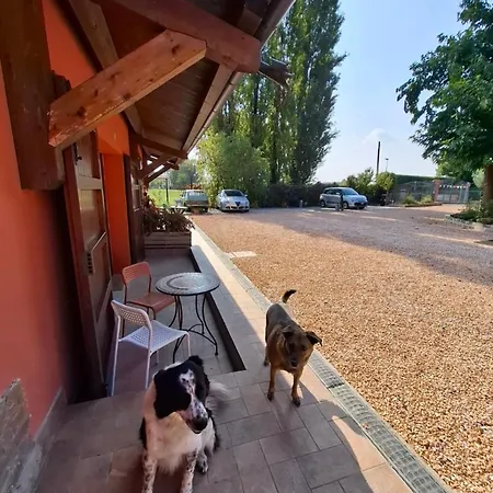 Tartarigo Μπολόνια