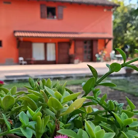 Tartarigo * Μπολόνια