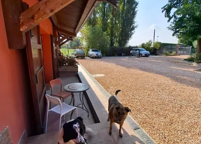 Tartarigo ボローニャ